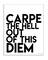 Stupell Industries lulusimonSTUDIO Black & White Carpe the Hell Out of This Diem Wall Plaque